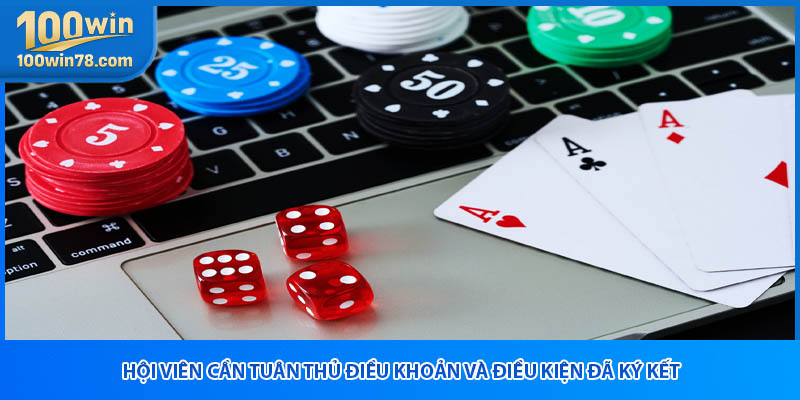 Hội viên cần tuân thủ điều khoản và điều kiện đã ký kết