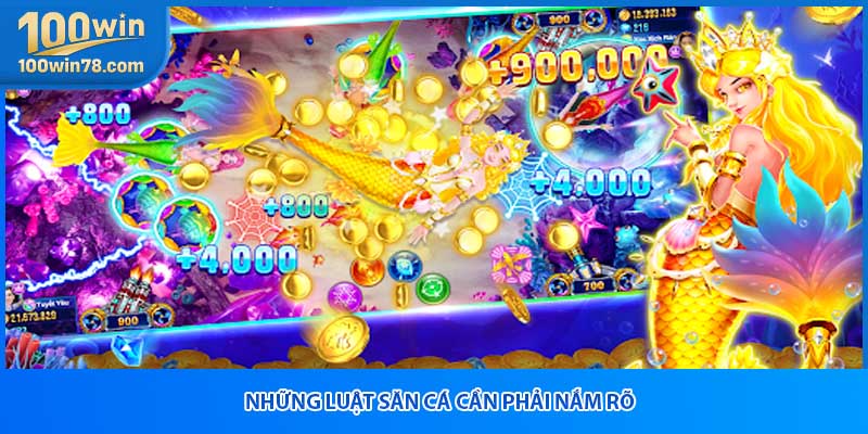 Những luật săn cá cần phải nắm rõ